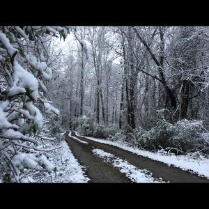 Meet your Posher, Rebekah